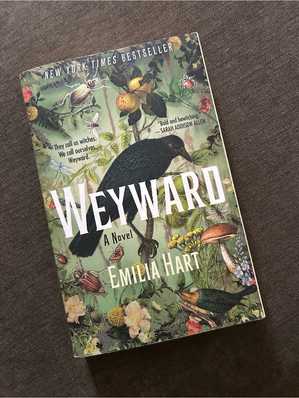 Weyward by Emilia Hart PB Book